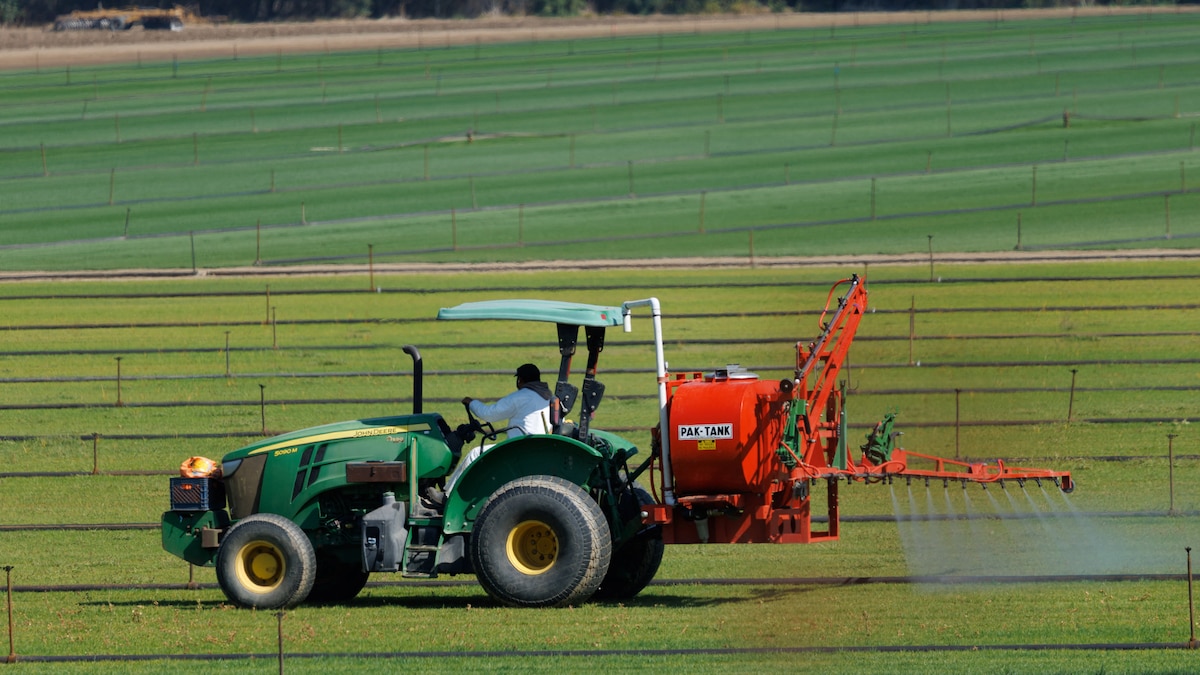 As sanções atingiram apenas 27,5% das infrações por agrotóxicos detectadas na Califórnia