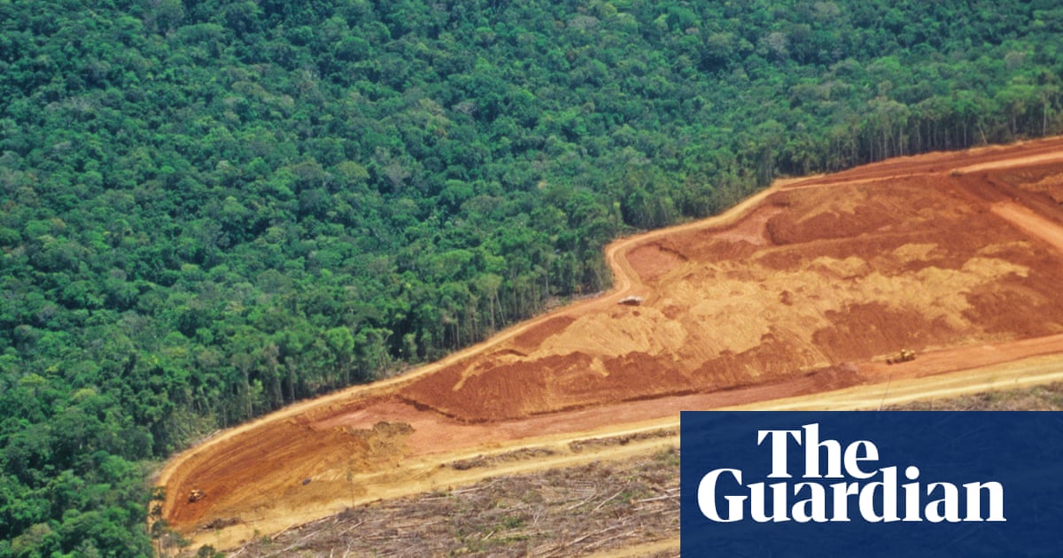 A ONU alerta para uma 'janela estreita' para restaurar as florestas do mundo