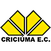 Imagem da matéria: Juan Freytes perde espaço e pode deixar o Fluminense