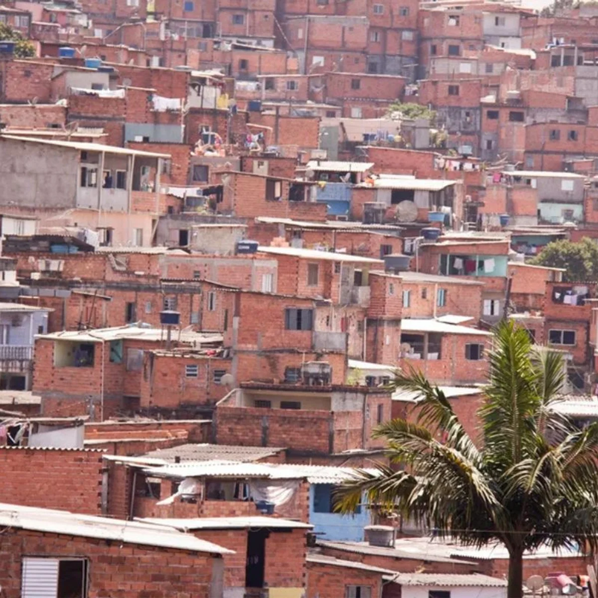 PM cerca Paraisópolis em "maior operação contra o crime organizado"