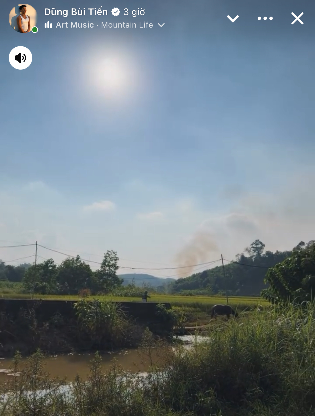 O goleiro Bùi Tiến Dũng voltou à terra natal para secar o arroz para a mãe