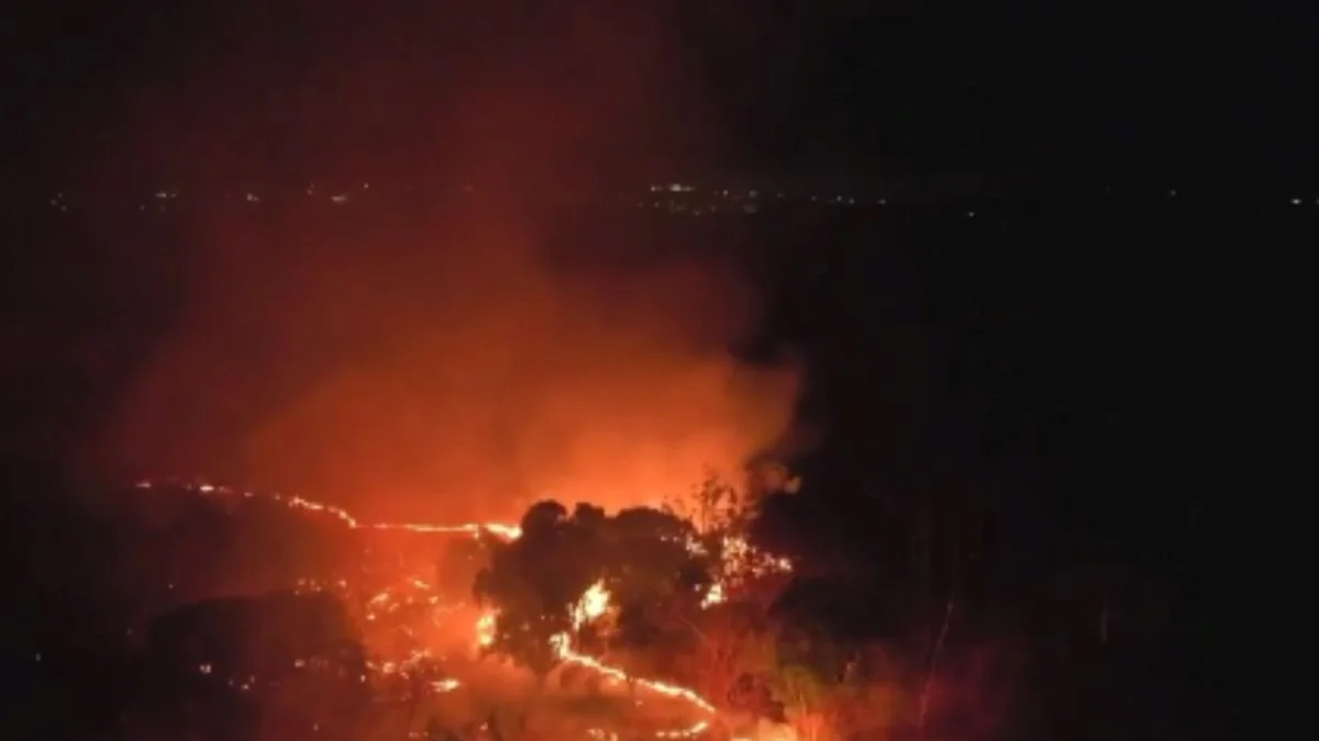 Incêndio em área da Embrapa mobiliza Exército e bombeiros em Teresina (PI)