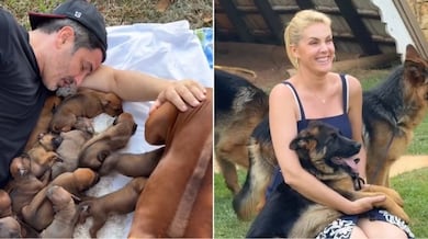 Ana Hickmann e Edu Guedes abrem álbum de lua de mel com histórias inusitadas: ‘Teve reencontro e surpresa’