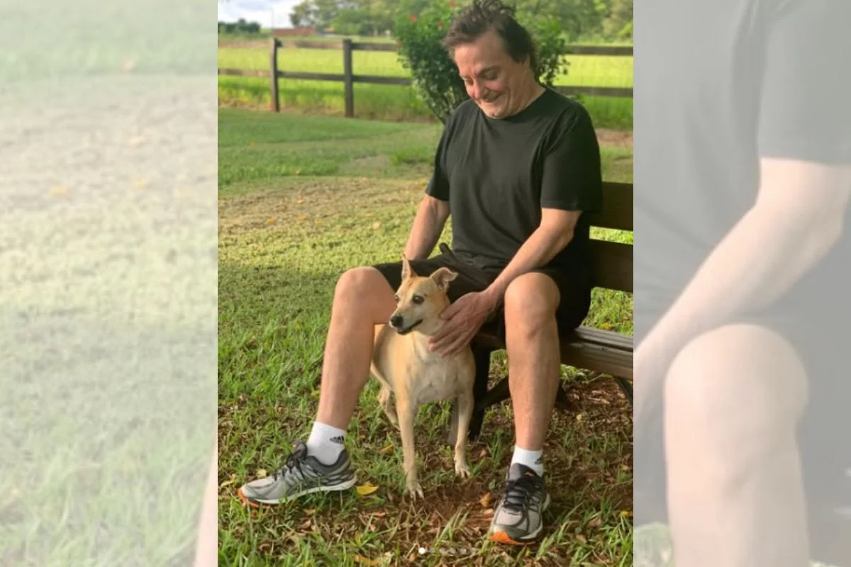 Fábio Jr. mantém criação de animais em propriedade de R$ 12 milhões em SP