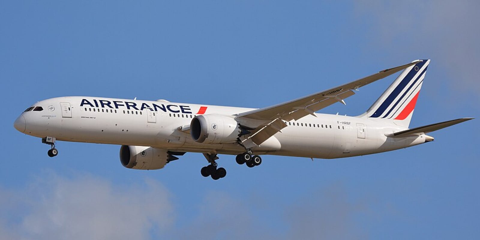 Para cada emprego criado pela Air France-KLM, cerca de 11 empregos são gerados na economia francesa Picasa