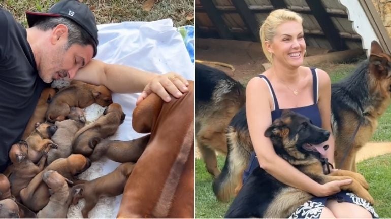 Ana Hickmann e Edu Guedes abrem álbum de lua de mel com histórias inusitadas: ‘Teve reencontro e surpresa’