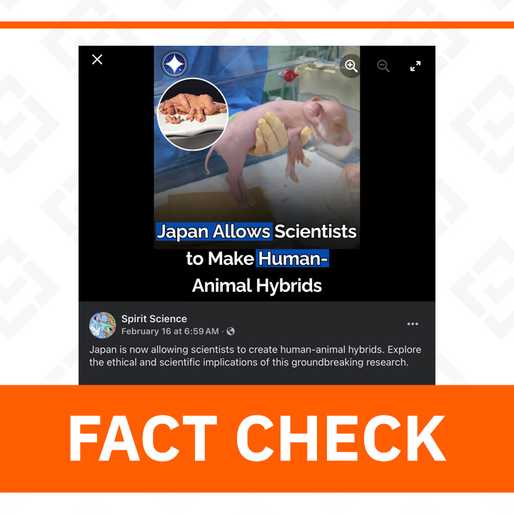 FACT CHECK: Misleading image used in post on Japan human-animal hybrid research