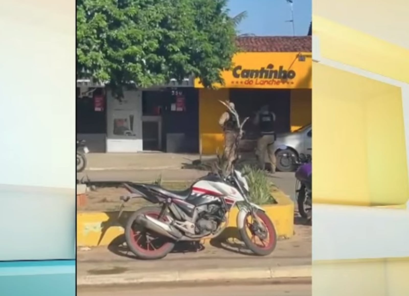 Bandidos, conde, assalto, reféns Portal Correio
